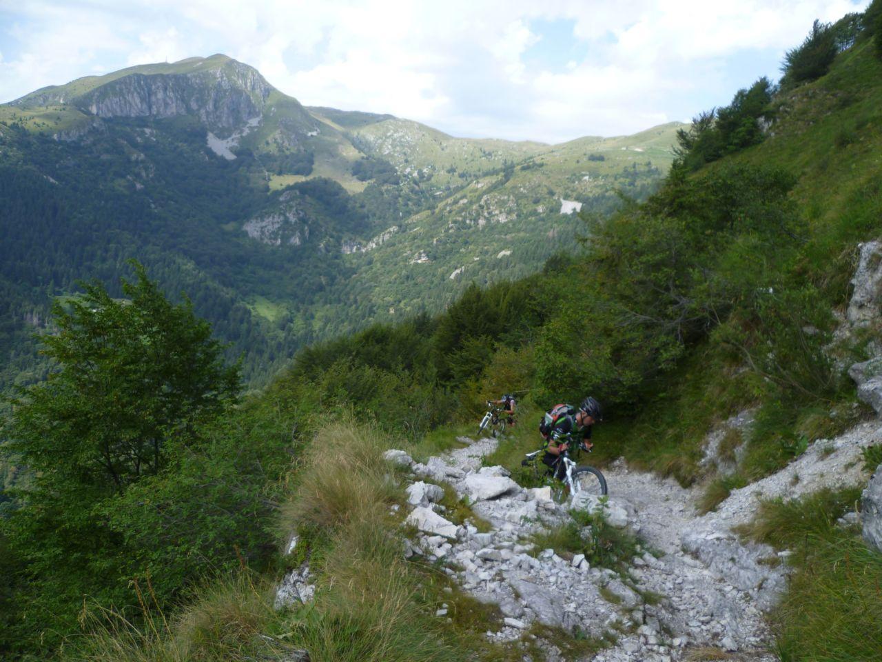 Bild vergr&ouml;ssern