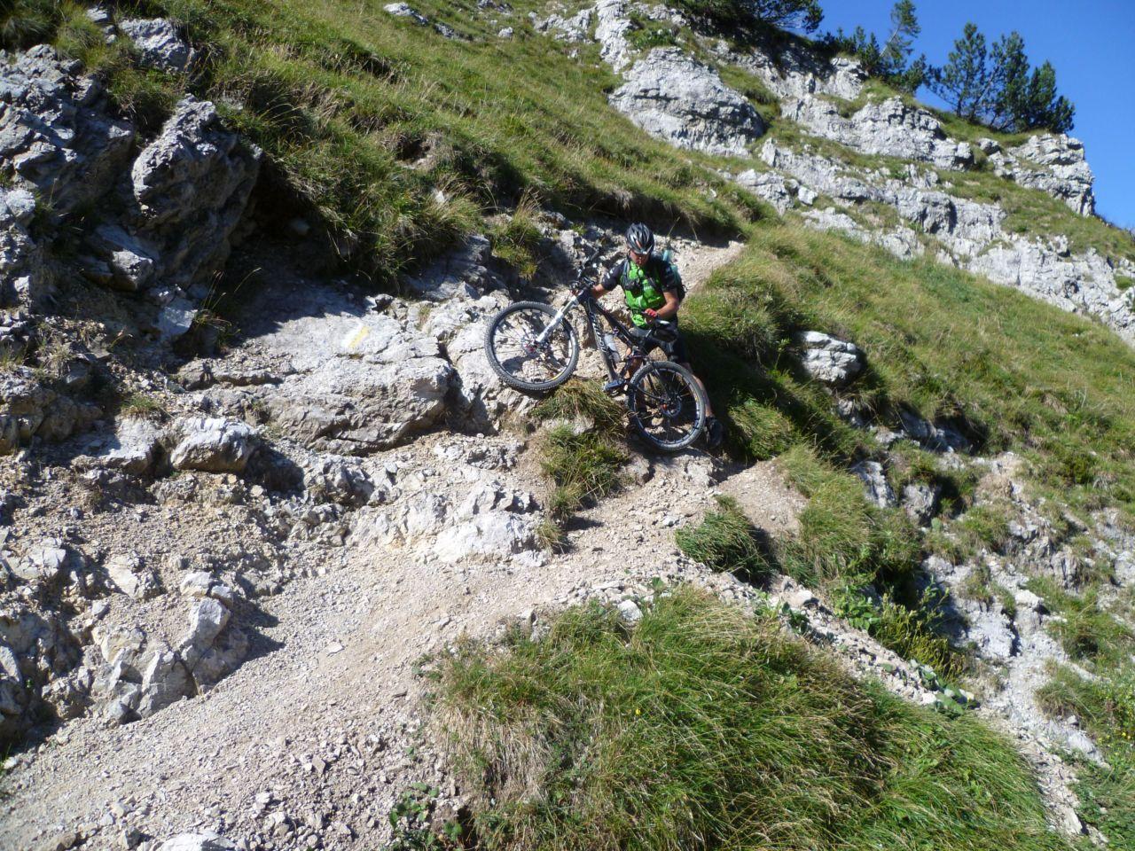 Bild vergr&ouml;ssern