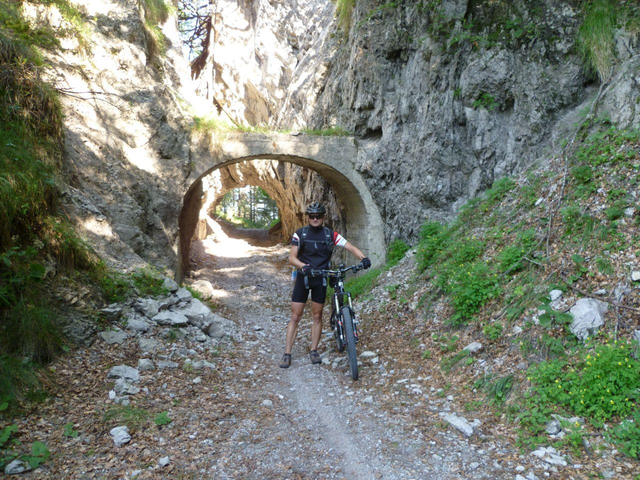 Bild vergr&ouml;ssern