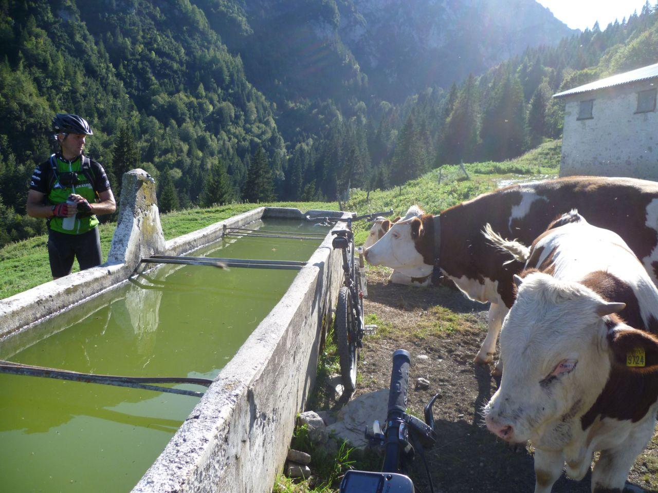 Bild vergr&ouml;ssern