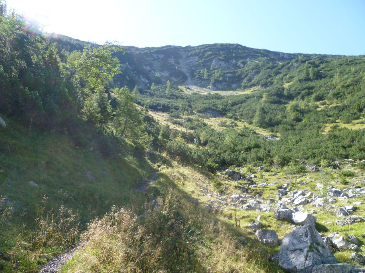 Bild vergr&ouml;ssern