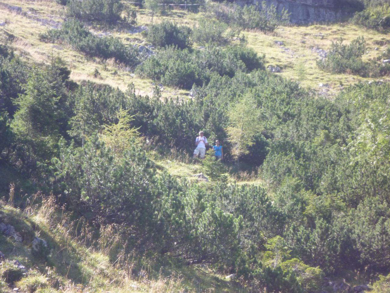 Bild vergr&ouml;ssern