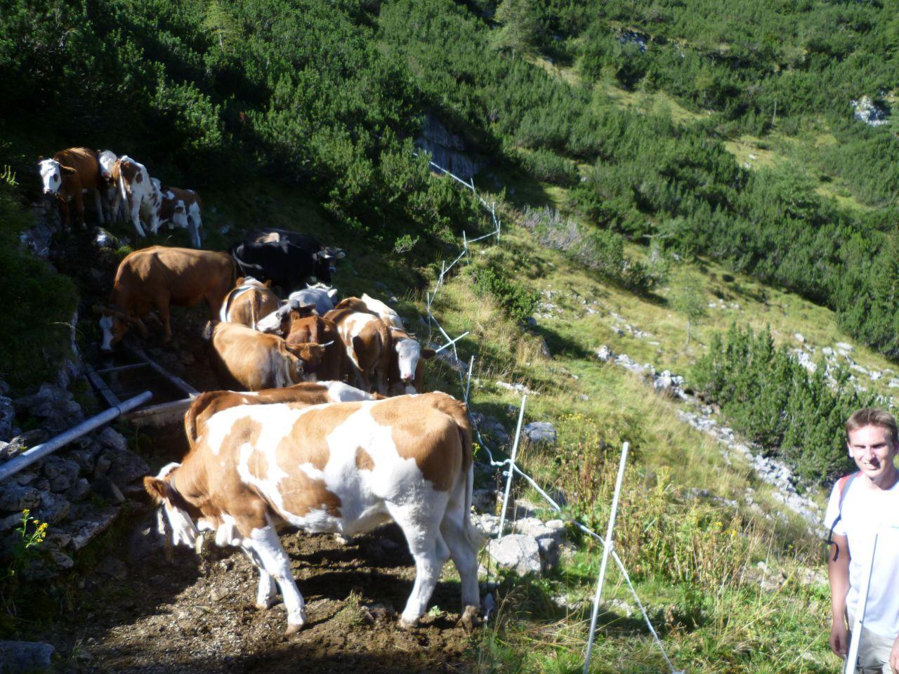 Bild vergr&ouml;ssern