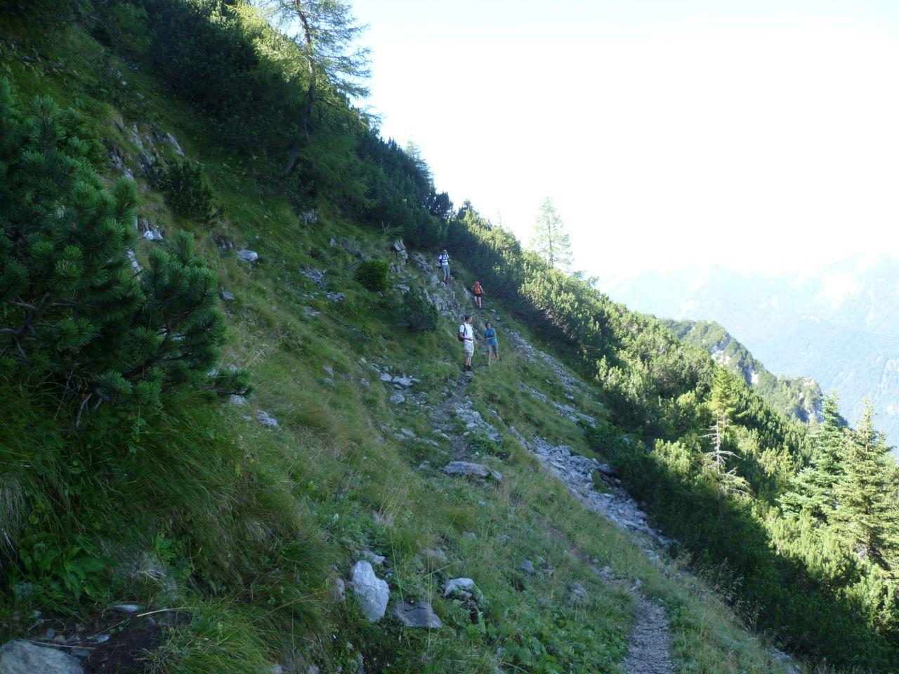 Bild vergr&ouml;ssern