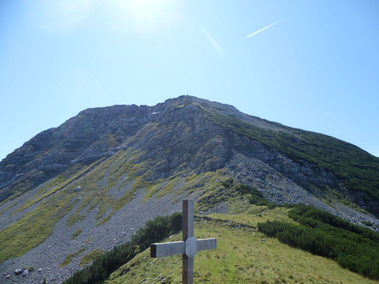 Bild vergr&ouml;ssern