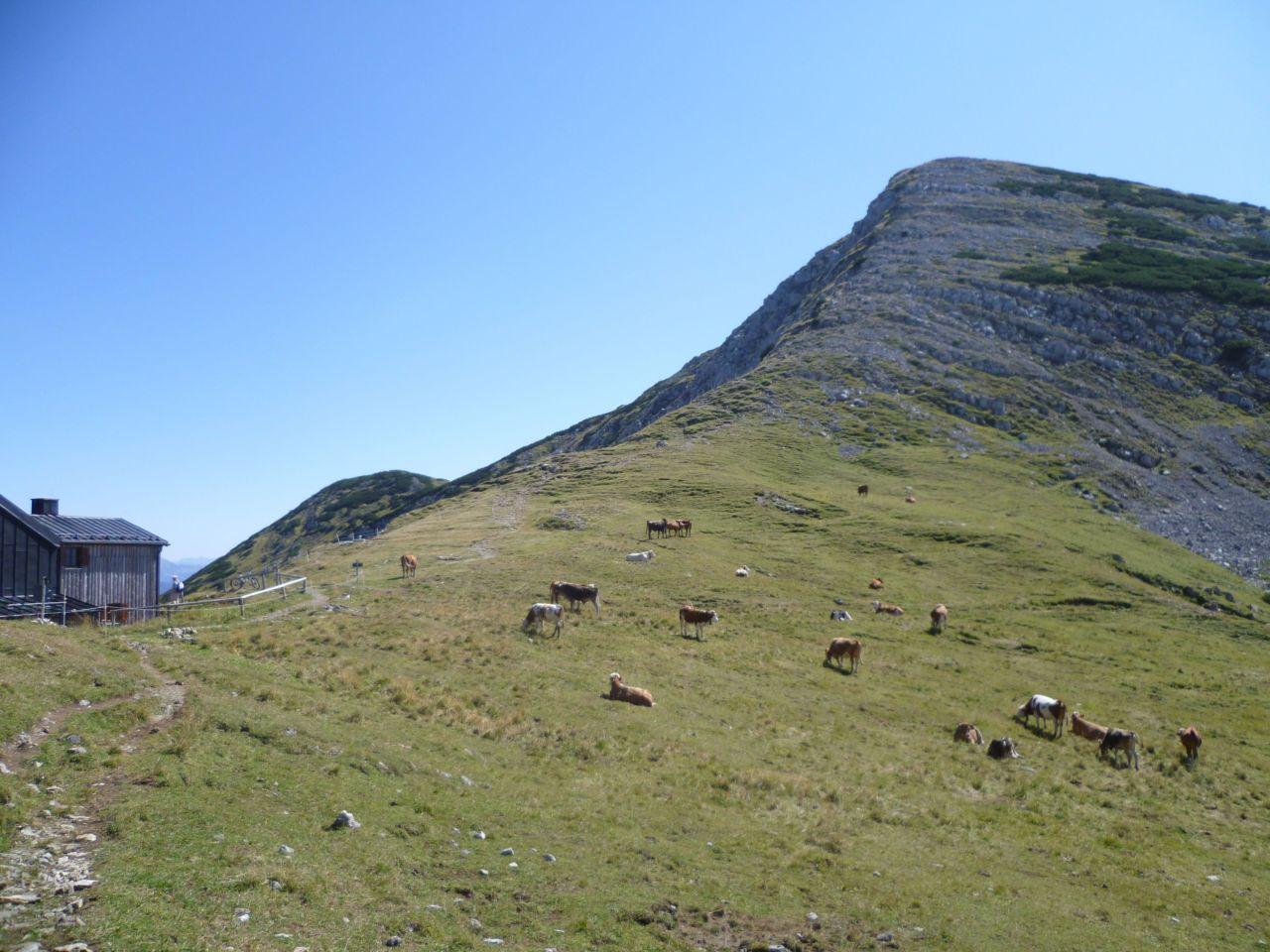 Bild vergr&ouml;ssern