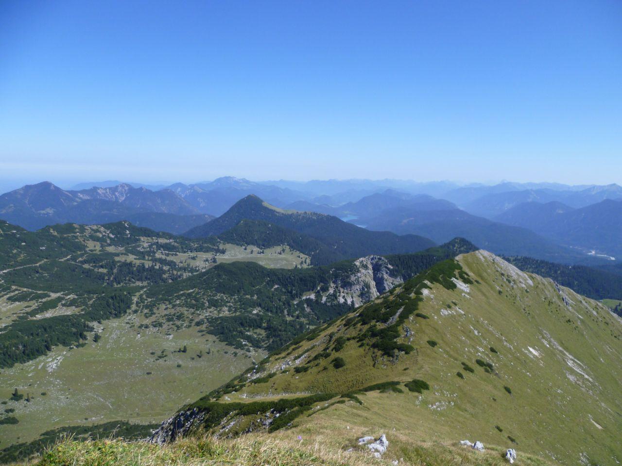 Bild vergr&ouml;ssern