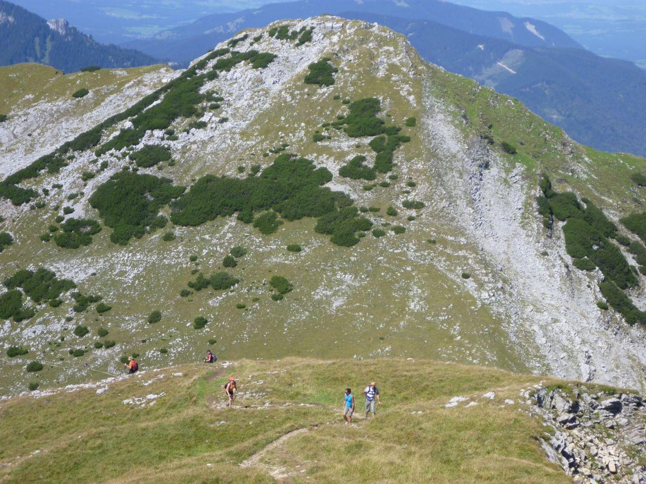 Bild vergr&ouml;ssern