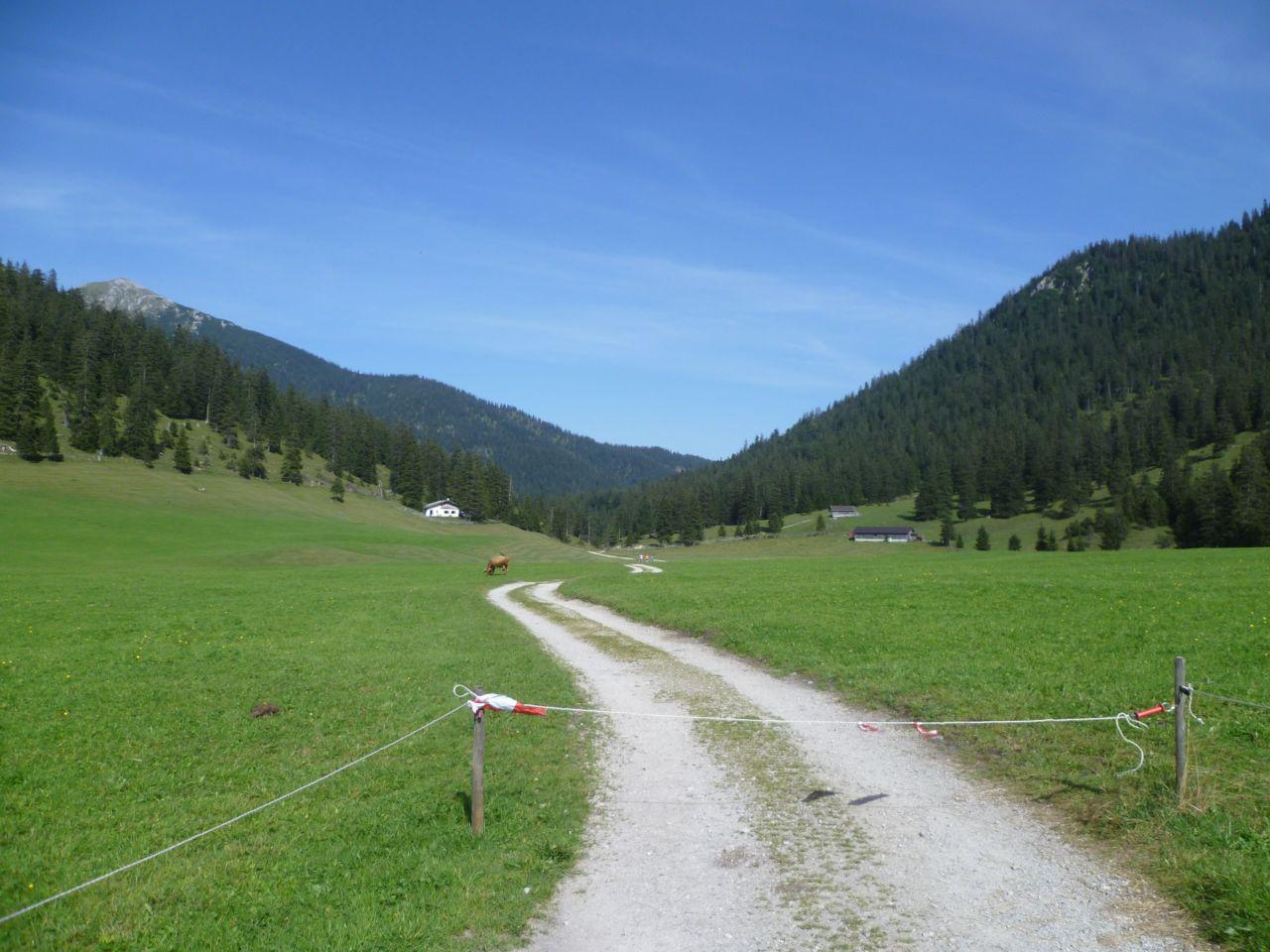 Bild vergr&ouml;ssern