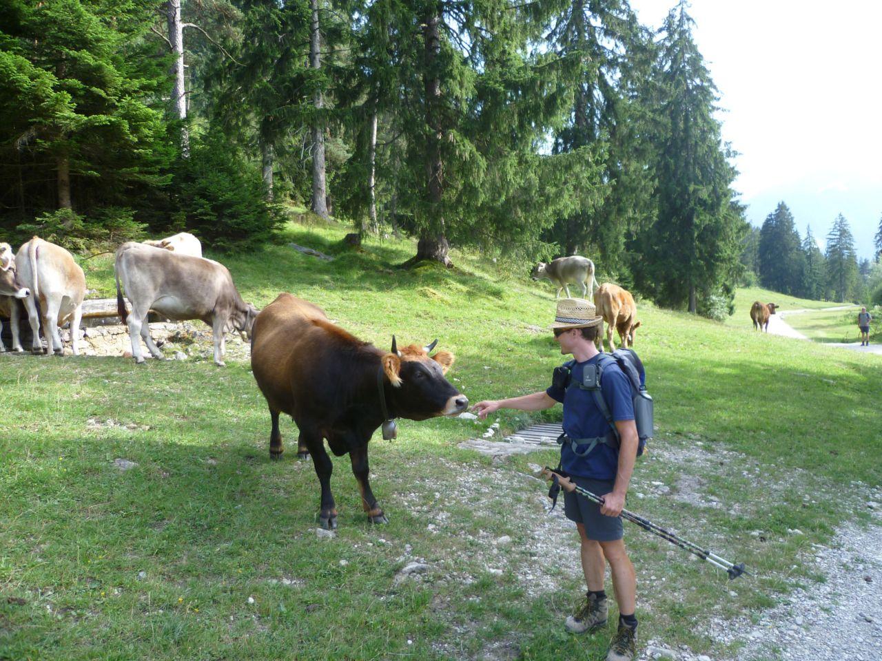 Bild vergr&ouml;ssern