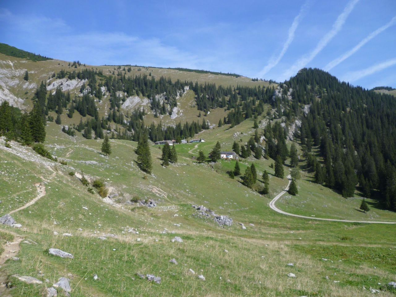 Bild vergr&ouml;ssern