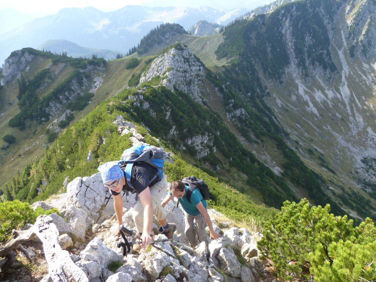 Bild vergr&ouml;ssern