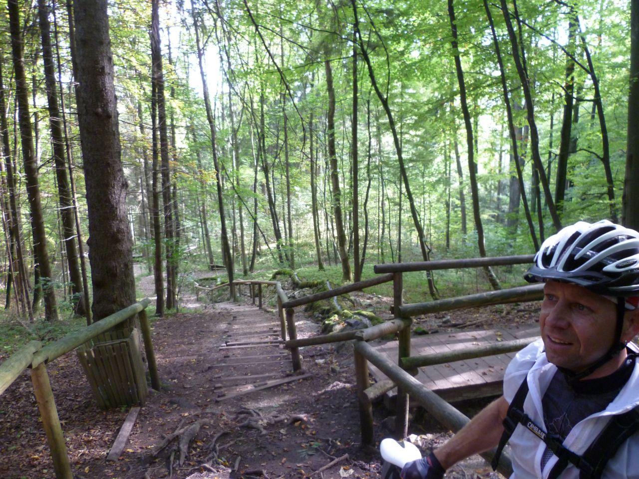 Bild vergr&ouml;ssern