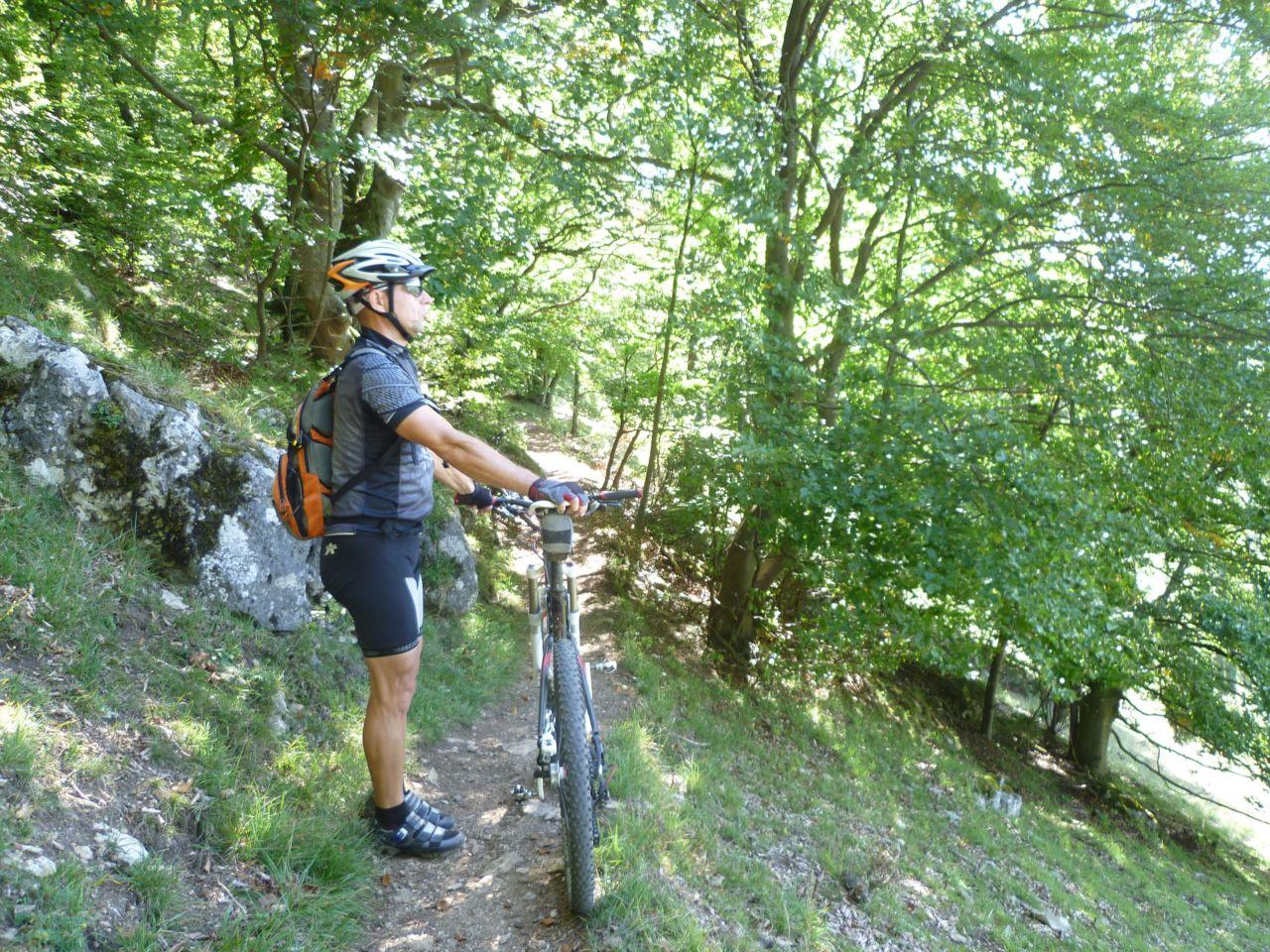 Bild vergr&ouml;ssern