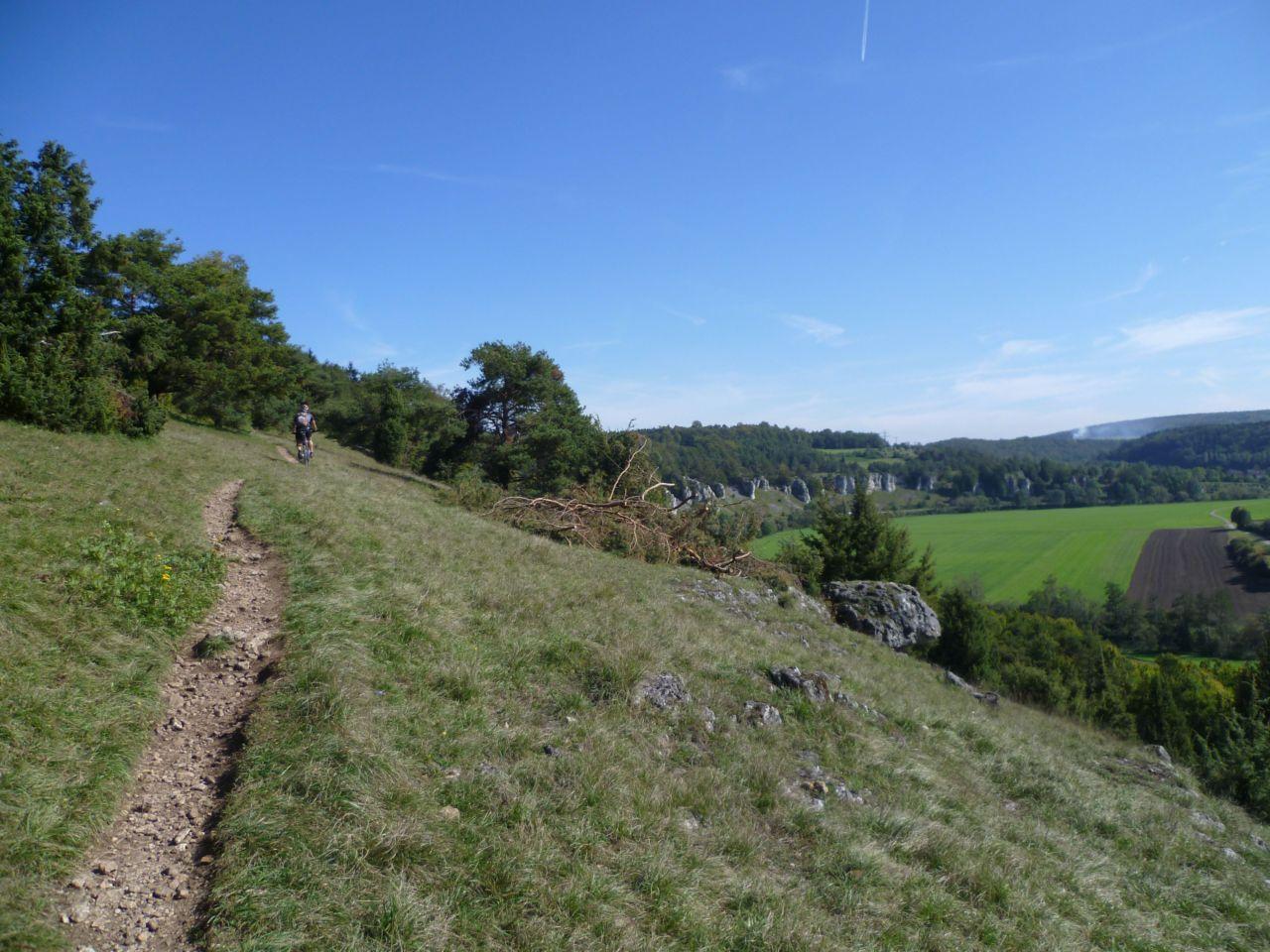 Bild vergr&ouml;ssern