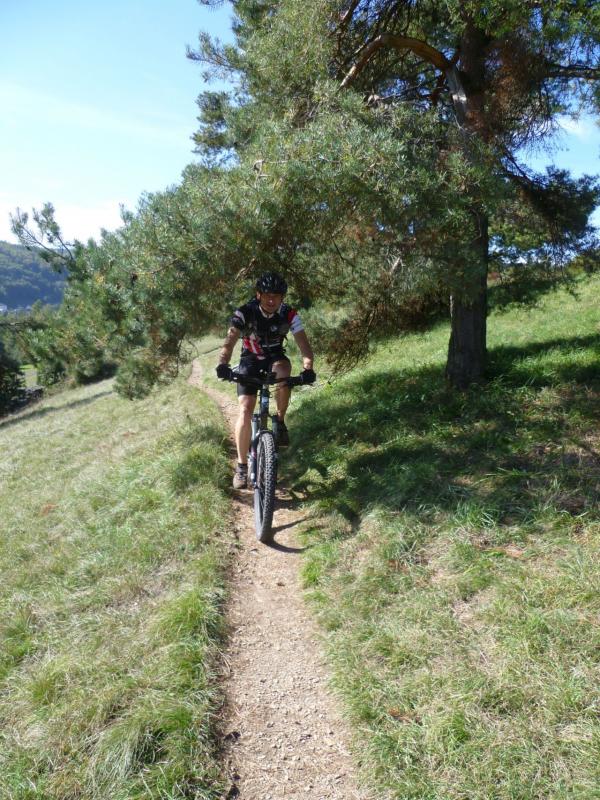 Bild vergr&ouml;ssern