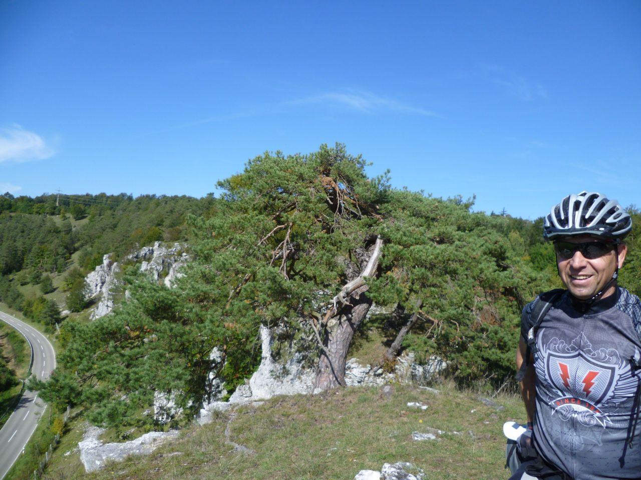 Bild vergr&ouml;ssern