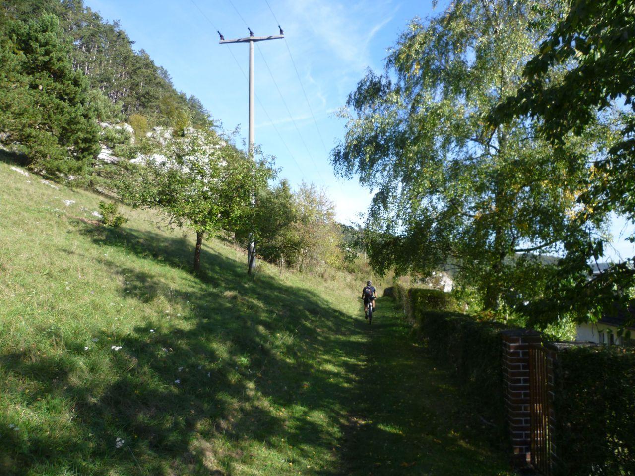 Bild vergr&ouml;ssern