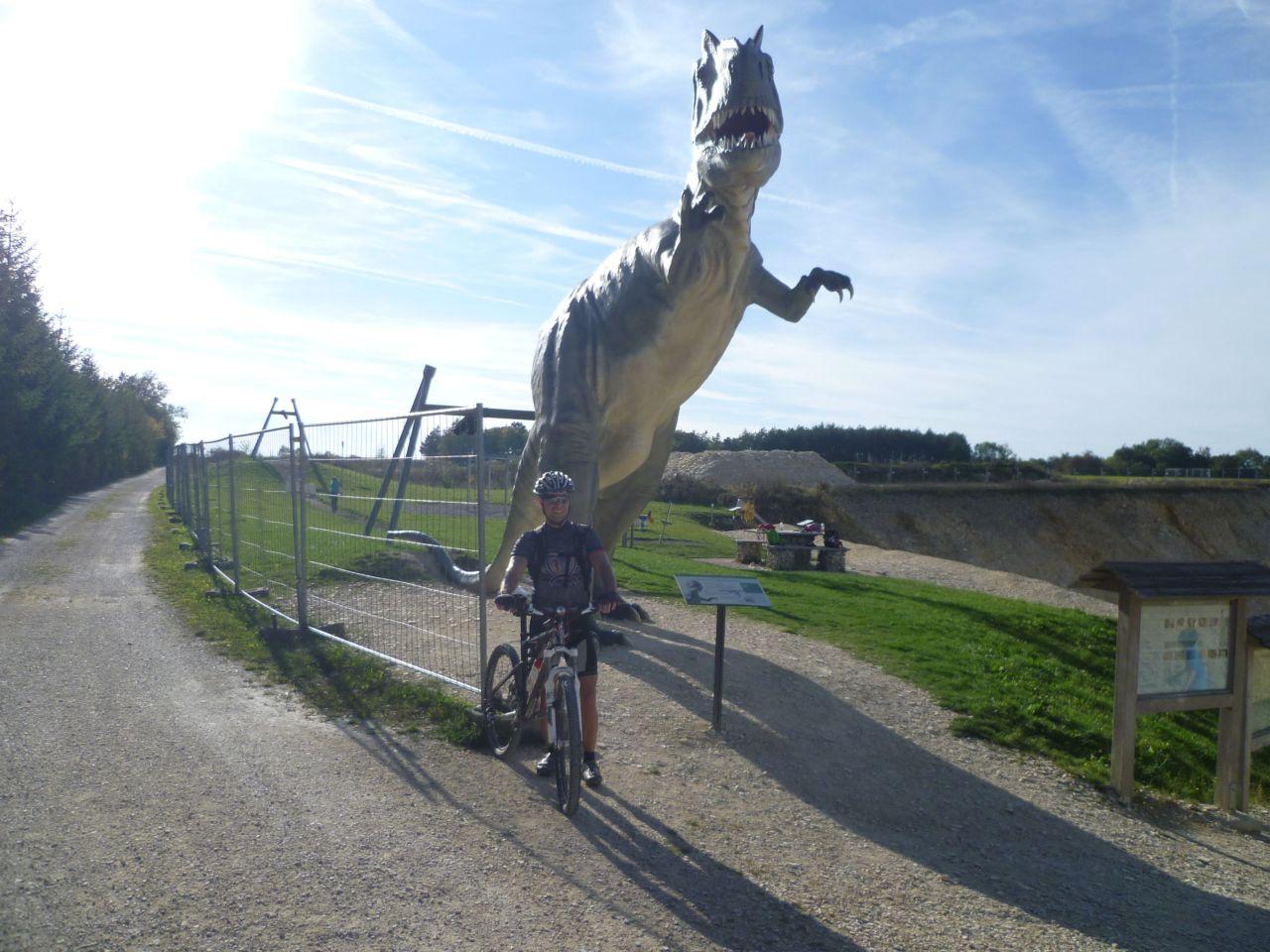 Bild vergr&ouml;ssern