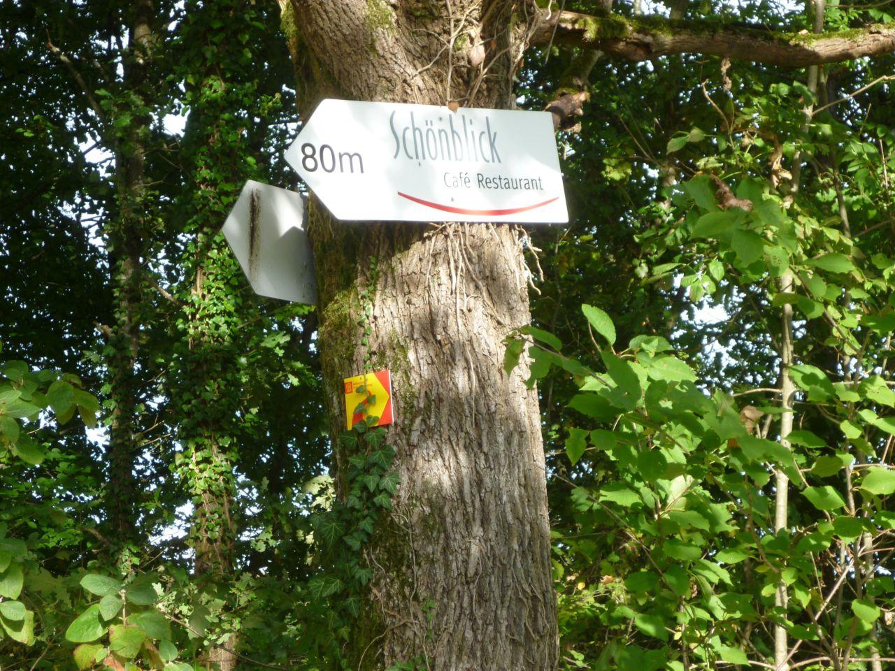 Bild vergr&ouml;ssern