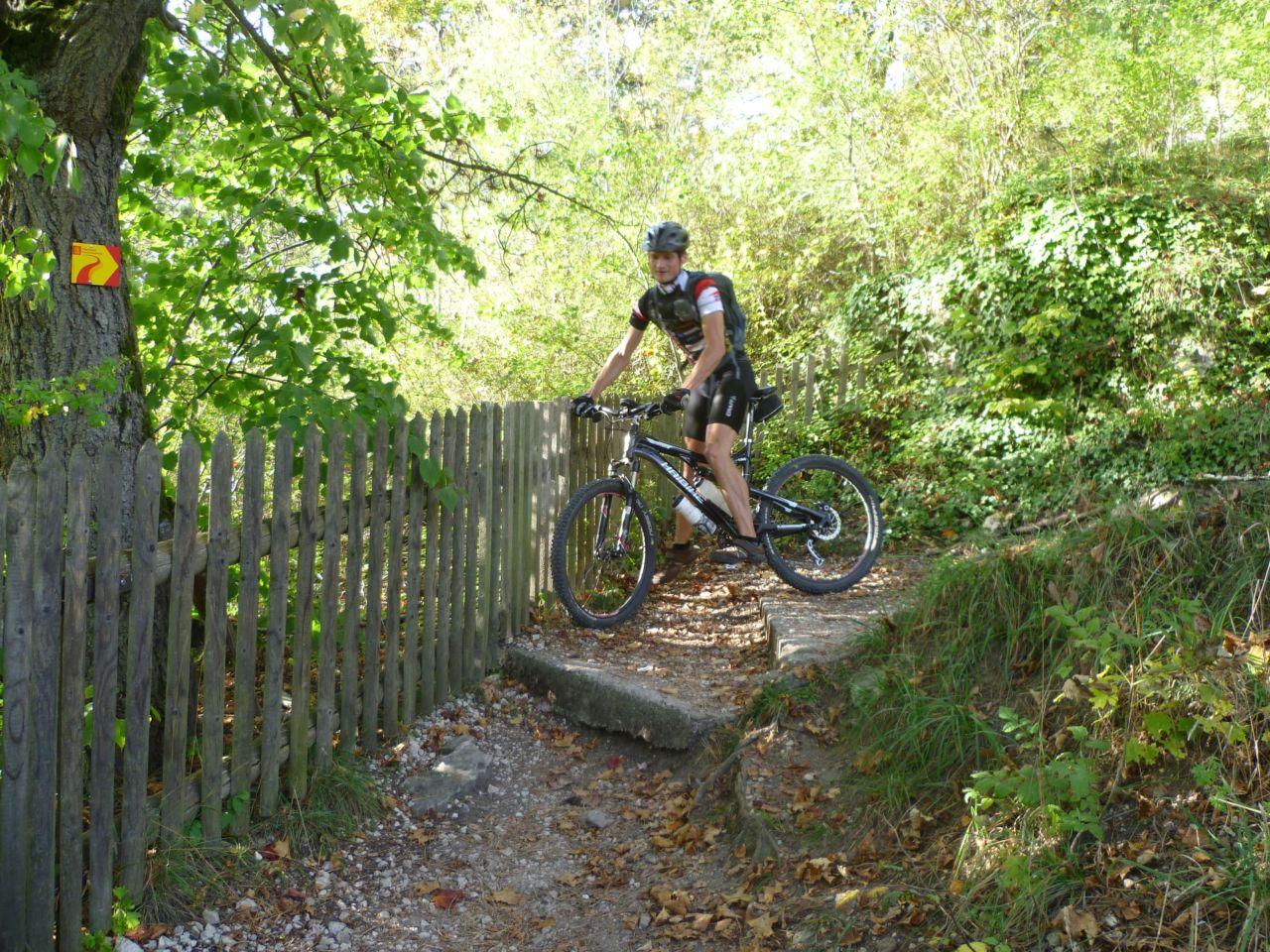 Bild vergr&ouml;ssern