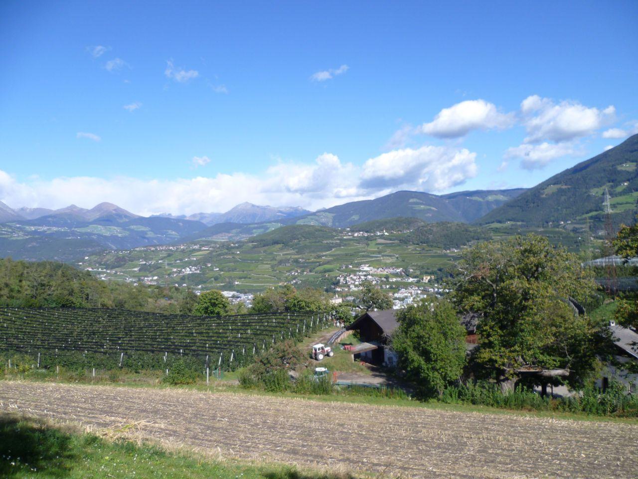 Bild vergr&ouml;ssern