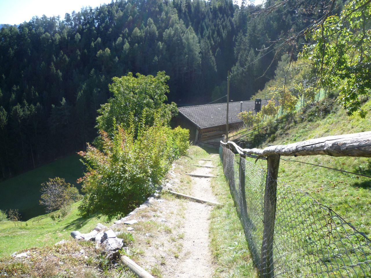 Bild vergr&ouml;ssern