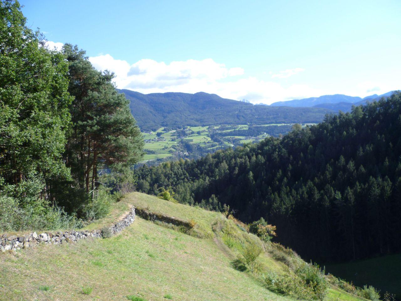 Bild vergr&ouml;ssern