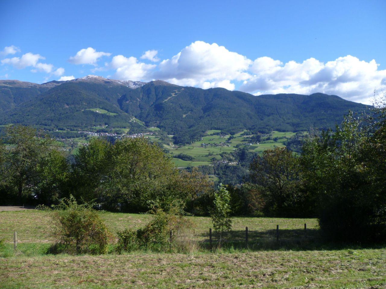 Bild vergr&ouml;ssern