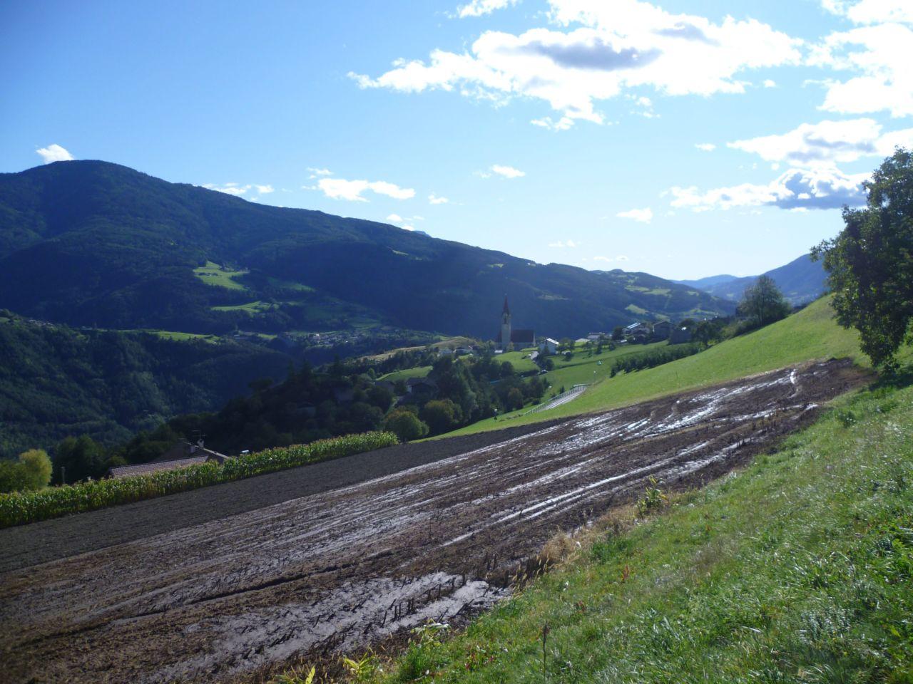 Bild vergr&ouml;ssern