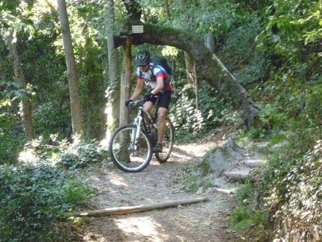 Bild vergr&ouml;ssern