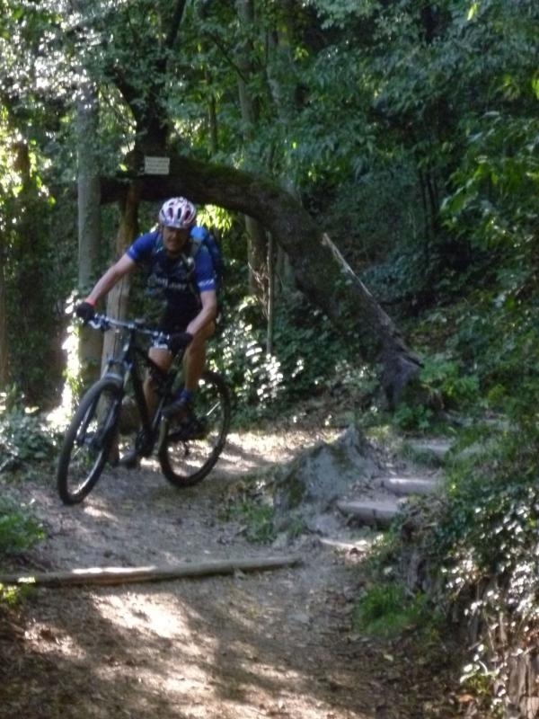 Bild vergr&ouml;ssern