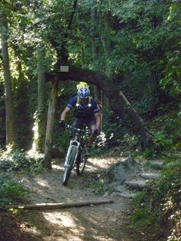 Bild vergr&ouml;ssern