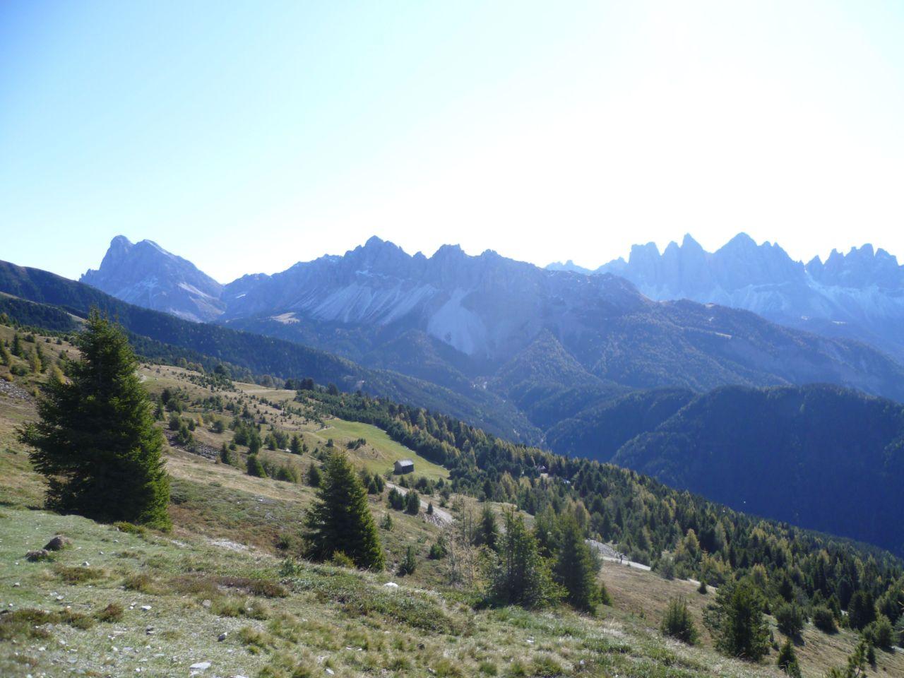 Bild vergr&ouml;ssern