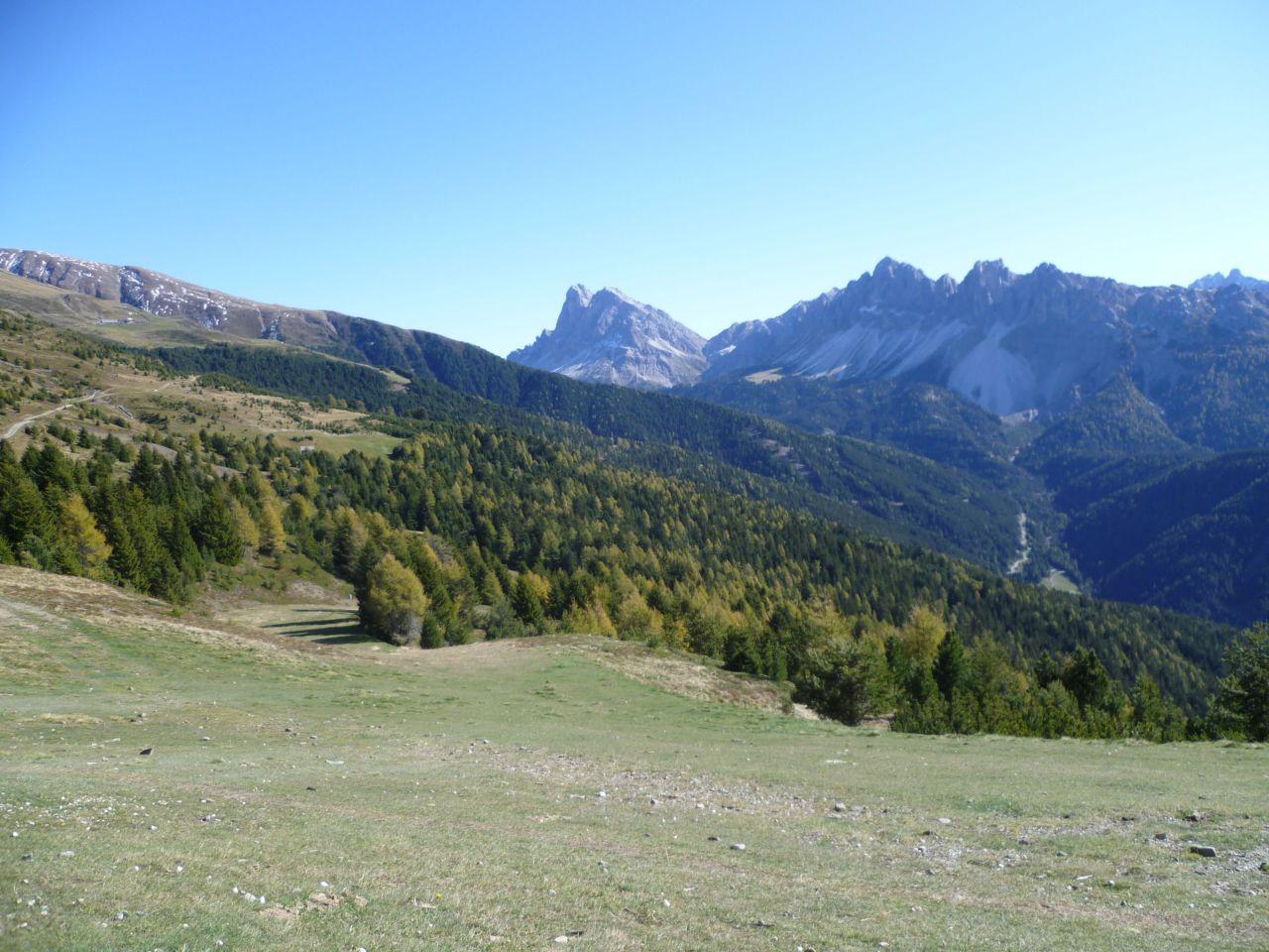 Bild vergr&ouml;ssern