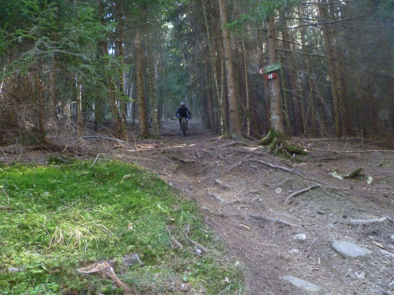 Bild vergr&ouml;ssern