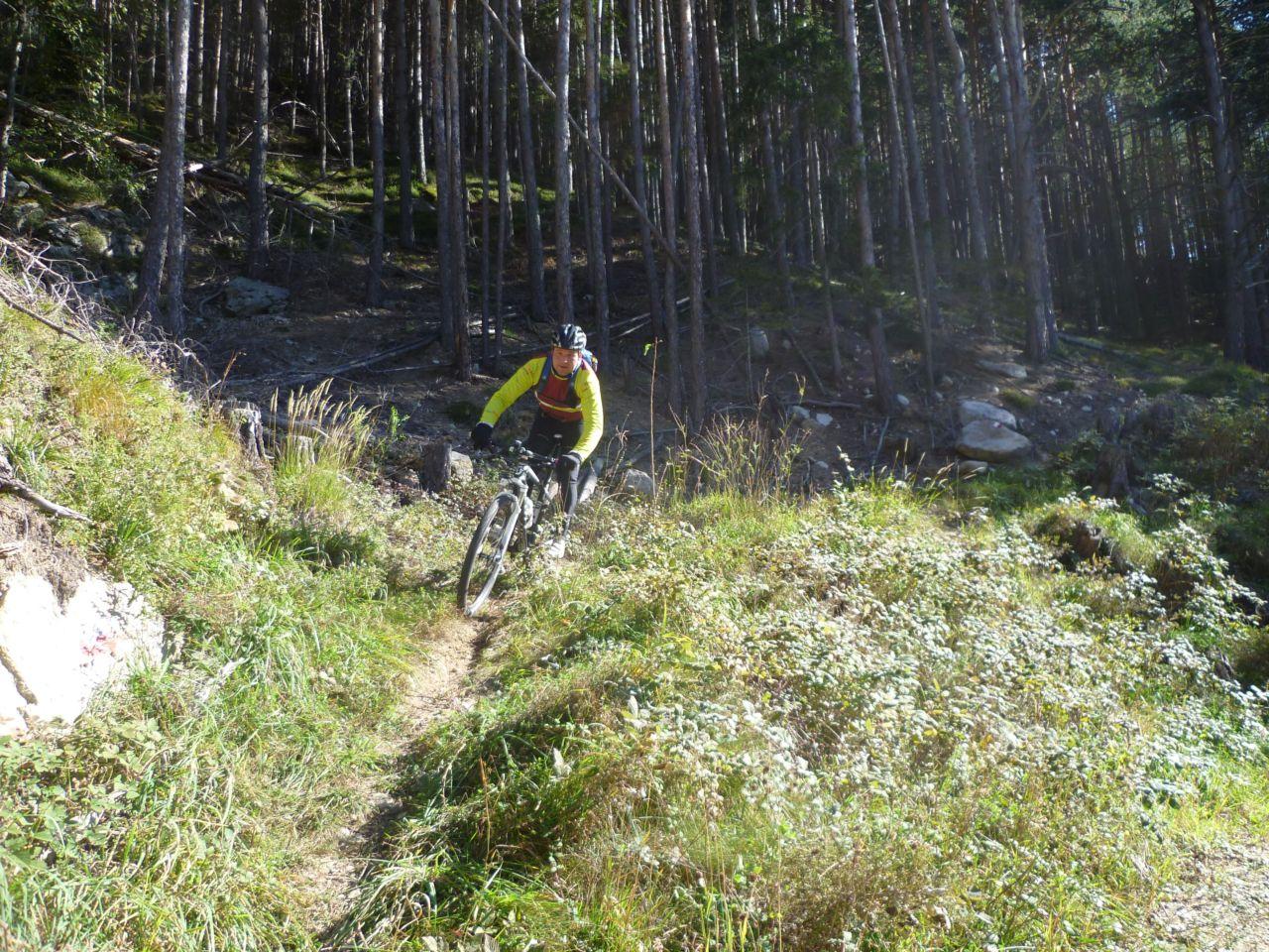 Bild vergr&ouml;ssern