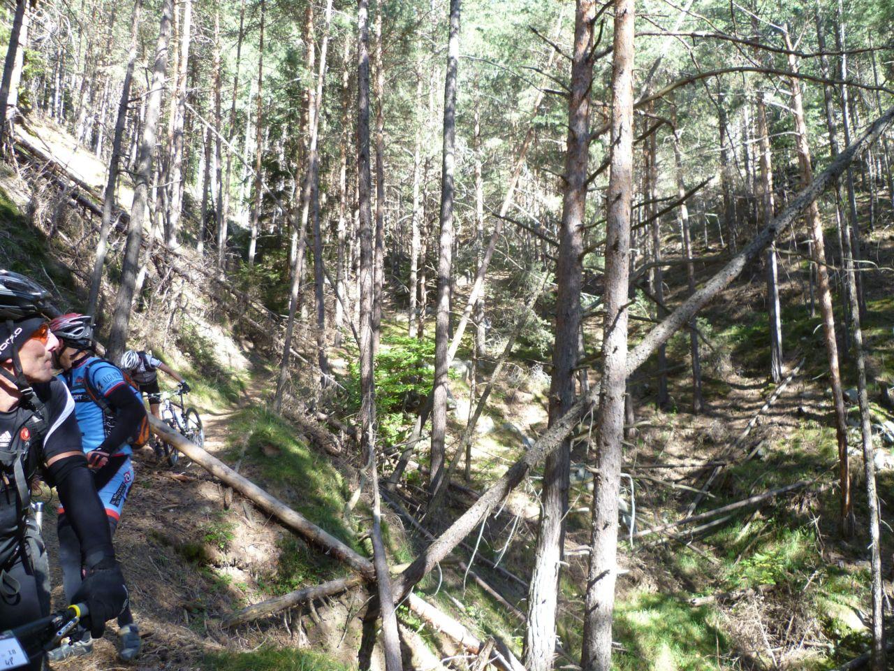 Bild vergr&ouml;ssern