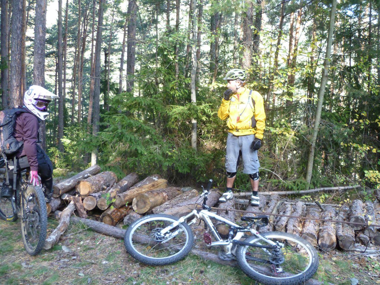 Bild vergr&ouml;ssern