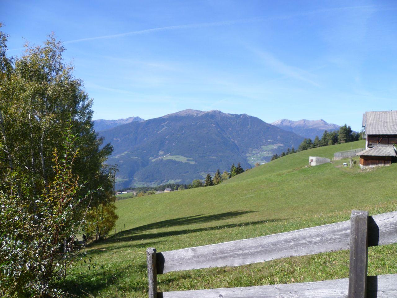 Bild vergr&ouml;ssern