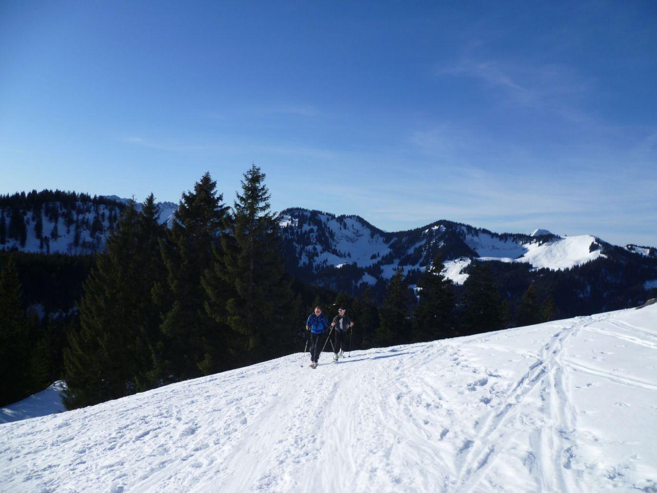 Bild vergr&ouml;ssern