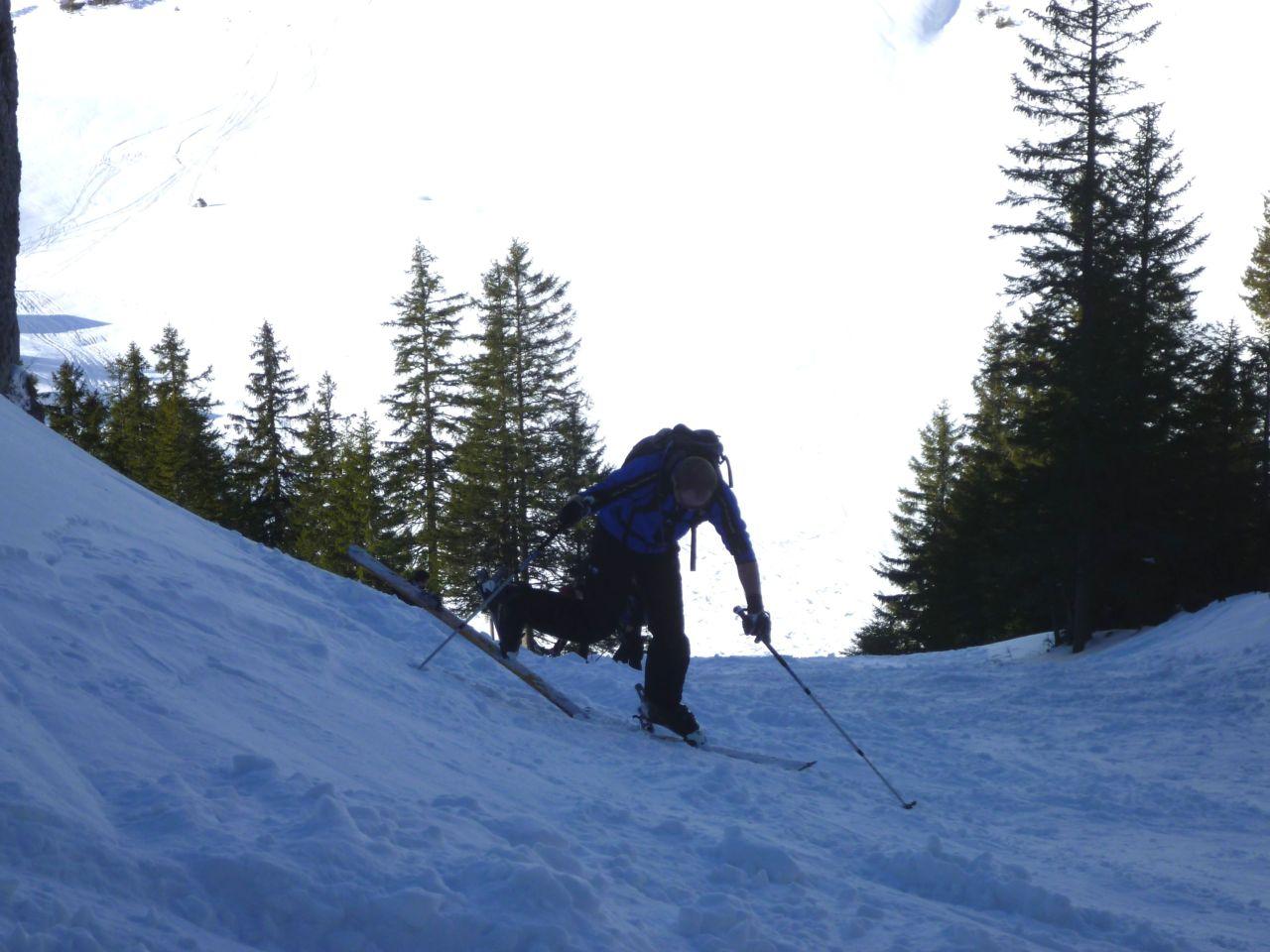 Bild vergr&ouml;ssern