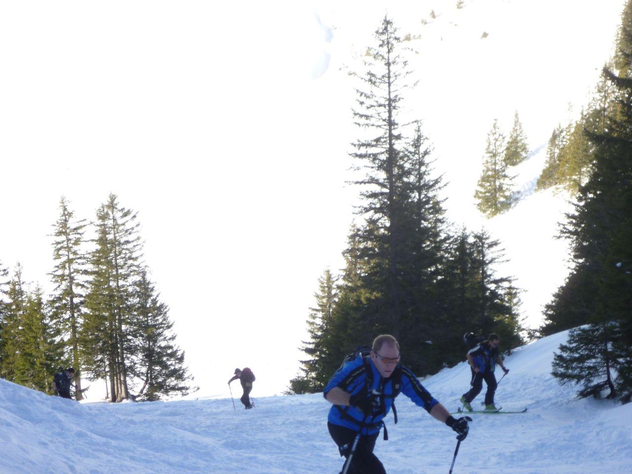 Bild vergr&ouml;ssern