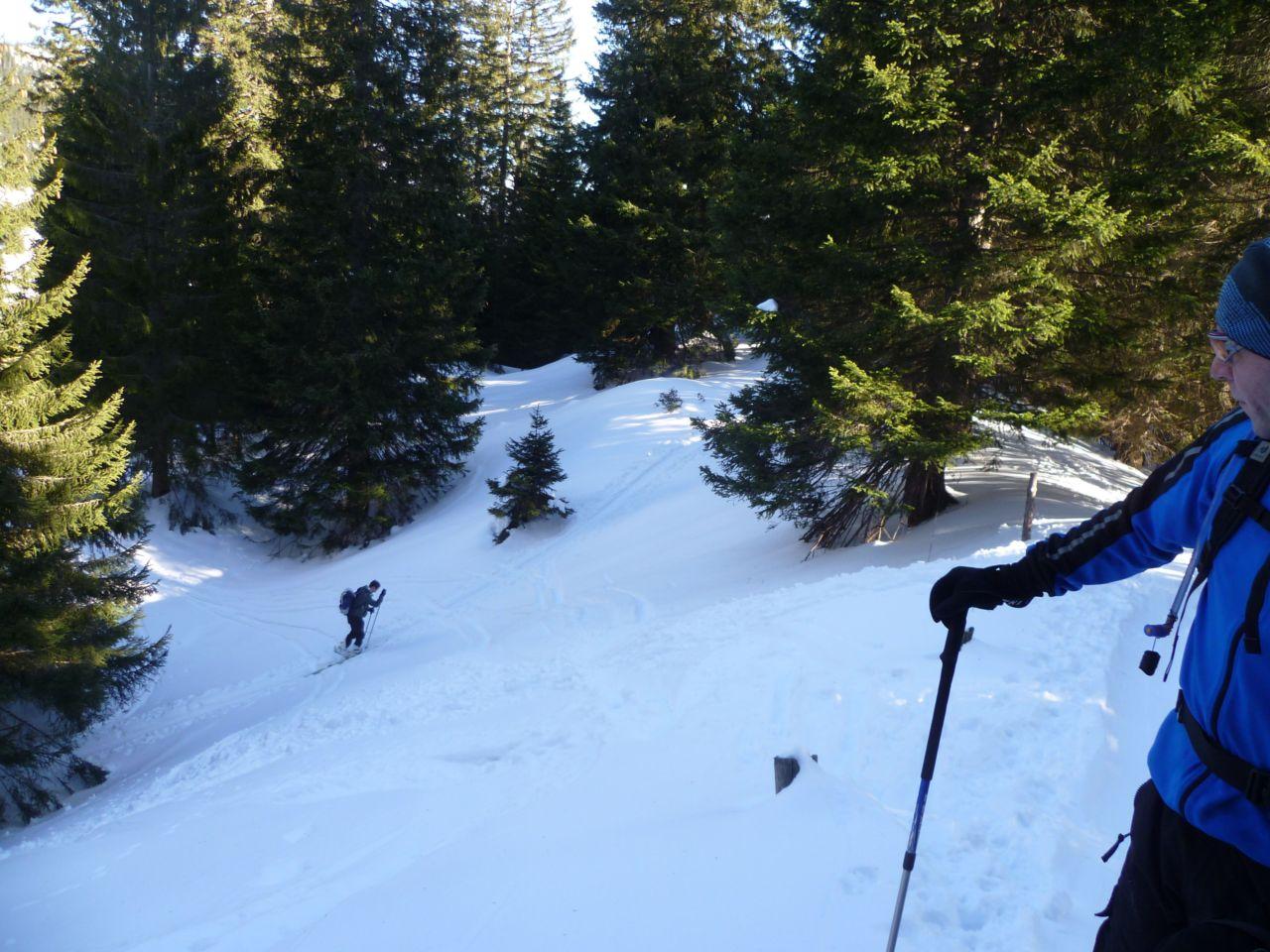 Bild vergr&ouml;ssern