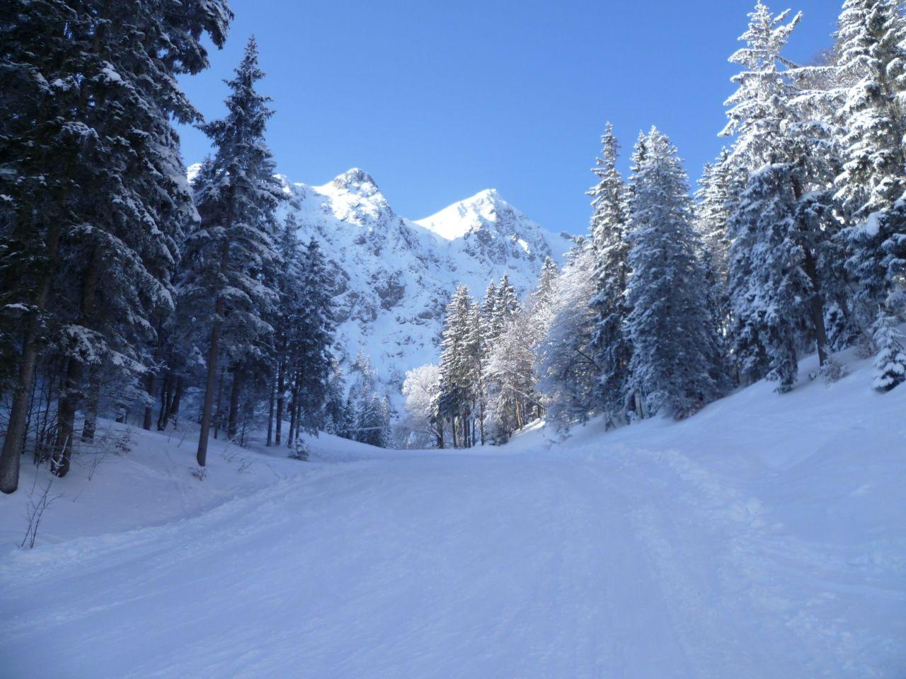 Bild vergr&ouml;ssern