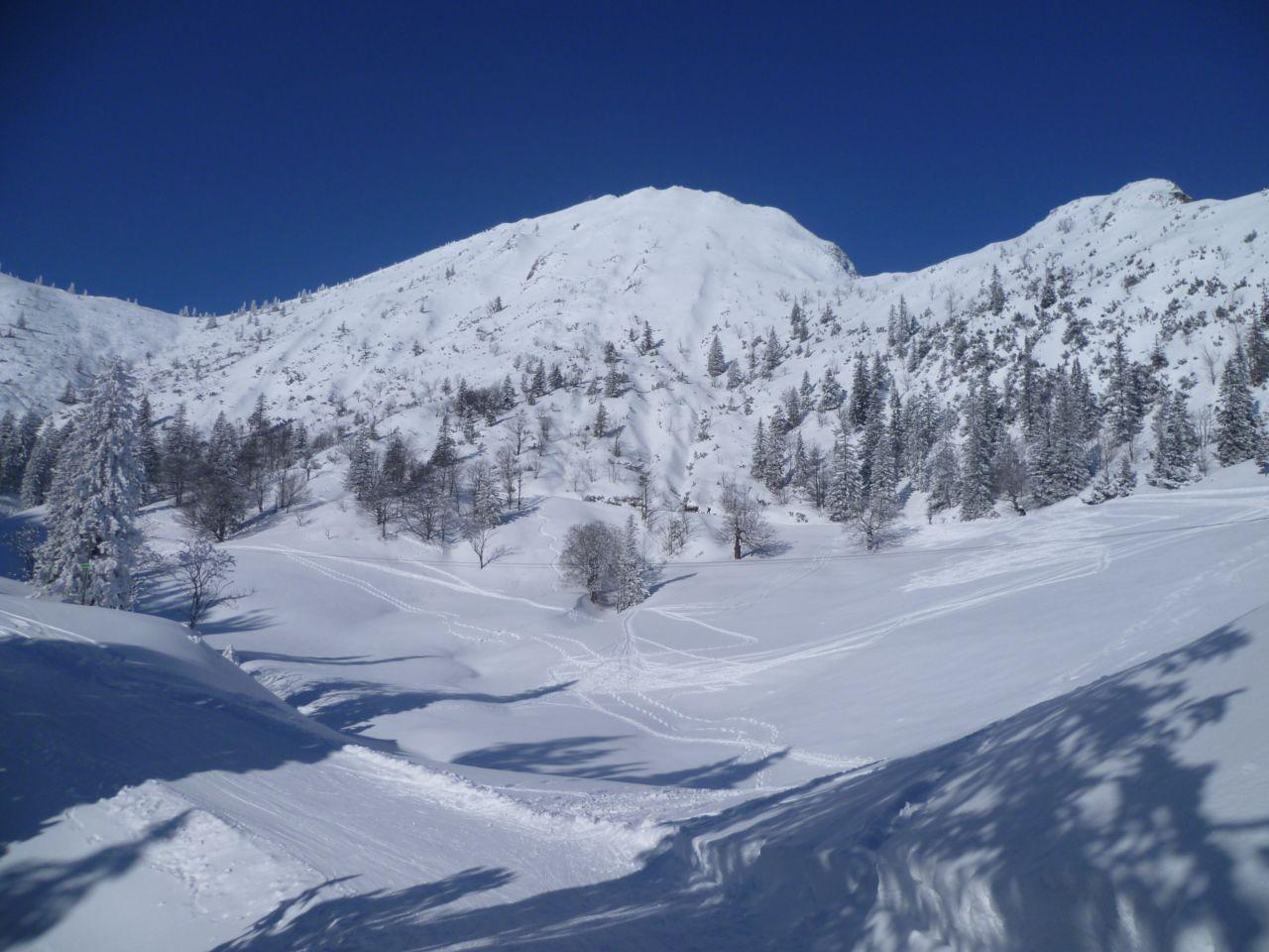 Bild vergr&ouml;ssern