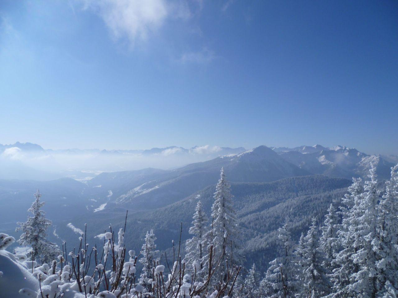 Bild vergr&ouml;ssern