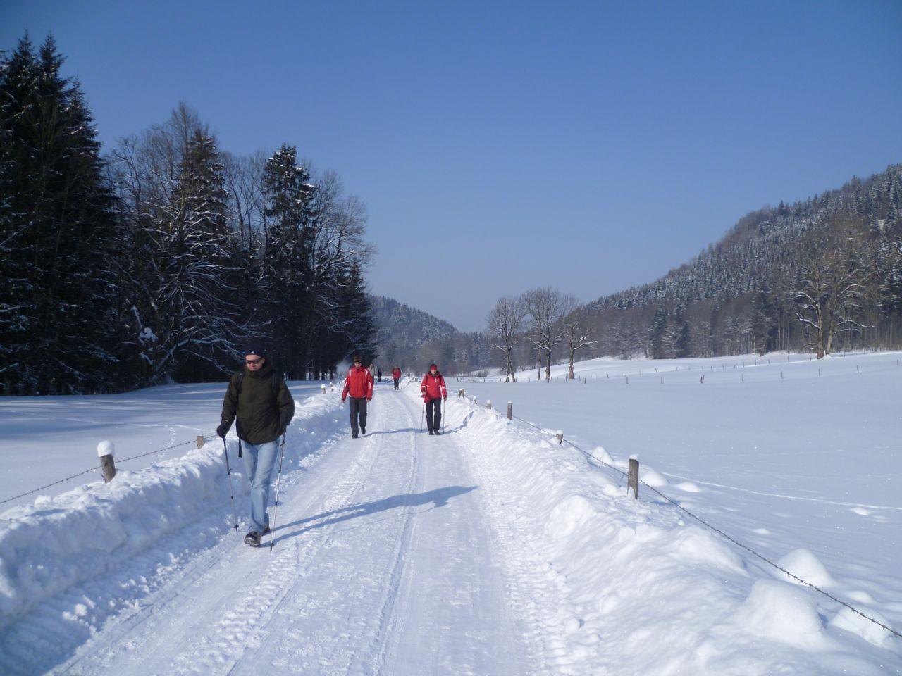 Bild vergr&ouml;ssern