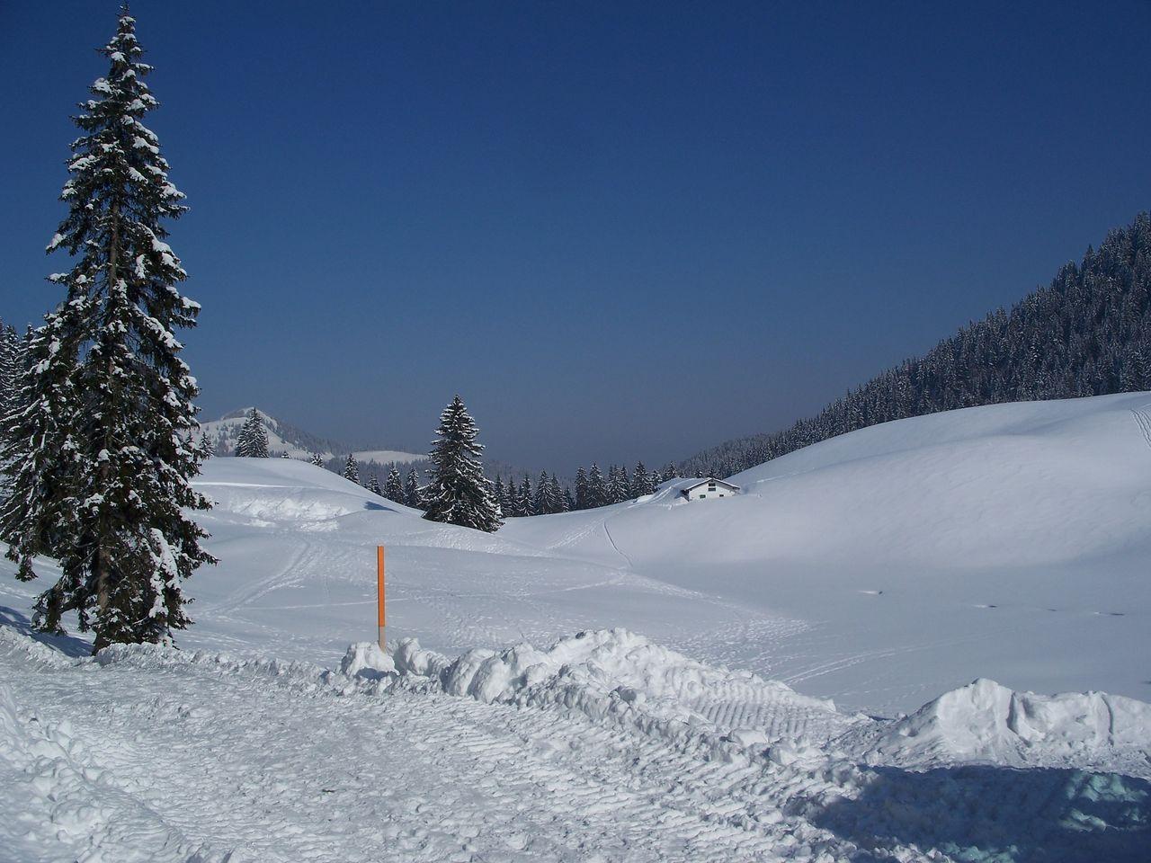 Bild vergr&ouml;ssern