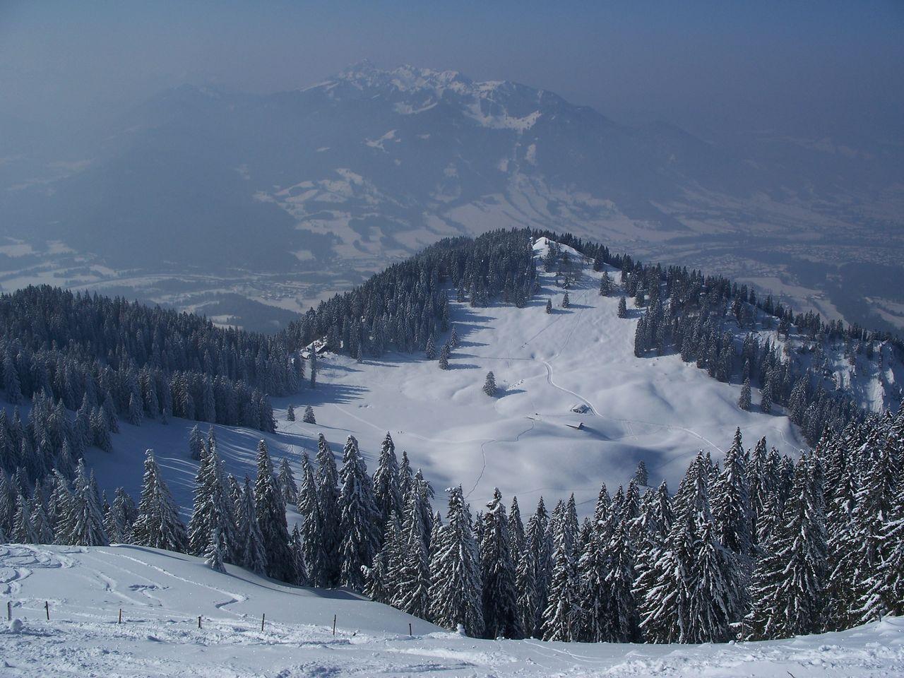 Bild vergr&ouml;ssern